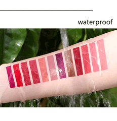 12 Colors Waterproof Lip Glaze Matte Velvet Lipstick Lipgloss